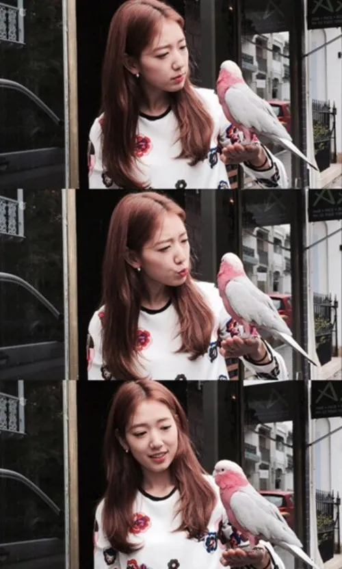 Park Shin Hye dengan burung beo bernama Miki saat di Australia. © kpopherald.com