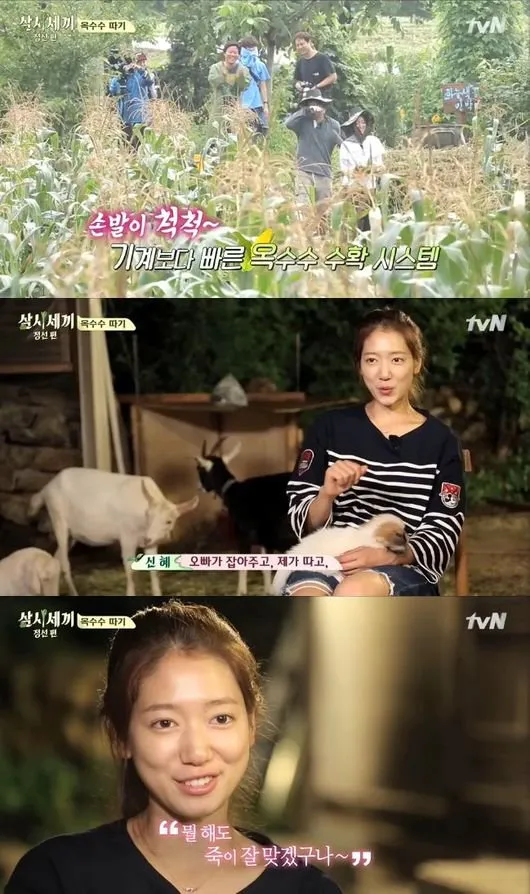 Park Shin Hye mengaku punya chemistry yang bagus dengan Taecyeon saat di Three Meals a Day. ©hancinema.net