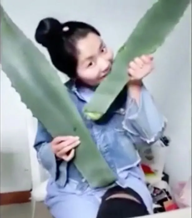 Seorang netizen China melakukan live streaming dengan memakan tumbuhan beracun karena menganggapnya lidah buaya © mirror.co.uk