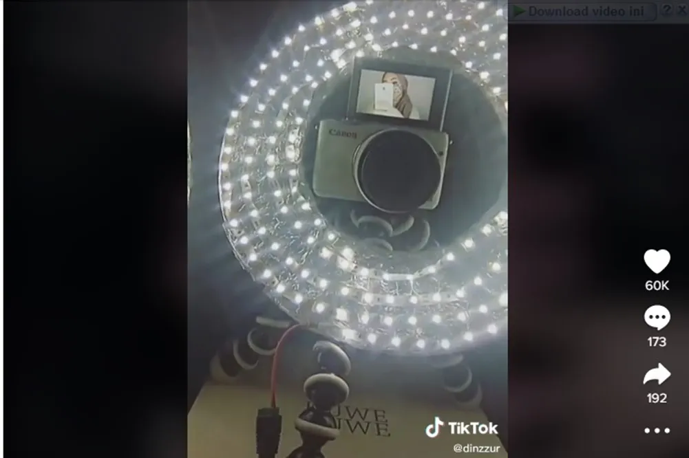 Credit: tiktok.com/@dinzzur 