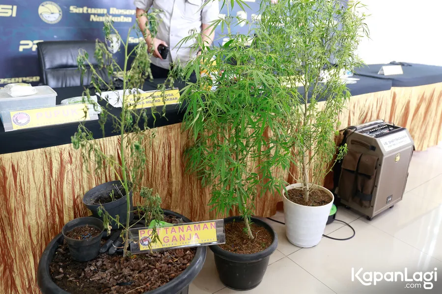 Oge Arthemus: KapanLagi.com/bayu Herdianto