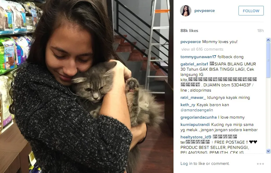 Pevita Menyayangi Kucingnya © Instagram pevpearce