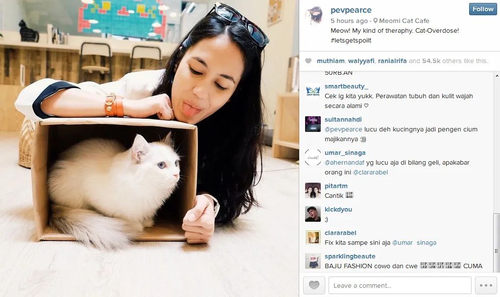Pevita Pearce dan kucing lucu © instagram.com/pevpearce