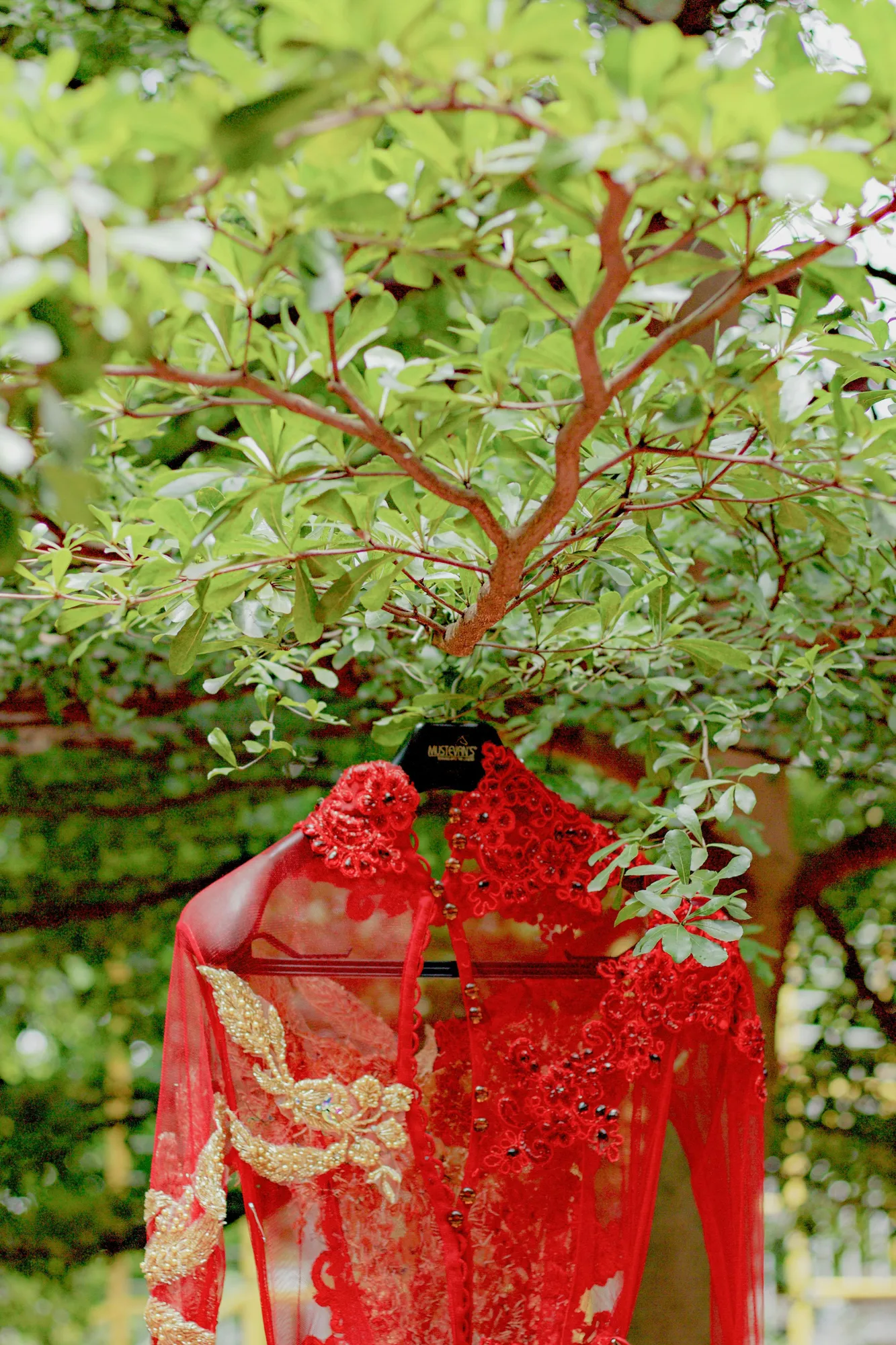 Tren Warna Kebaya 2025 untuk Tampil Memesona, Padukan Gaya Tradisional dan Modern. (pexels.com/Reynaldo Yodia)