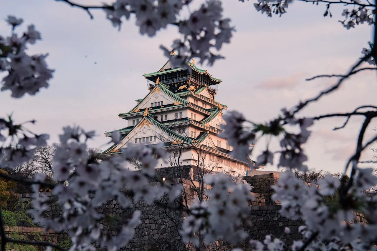 Ilustrasi (credit: pexels.com)