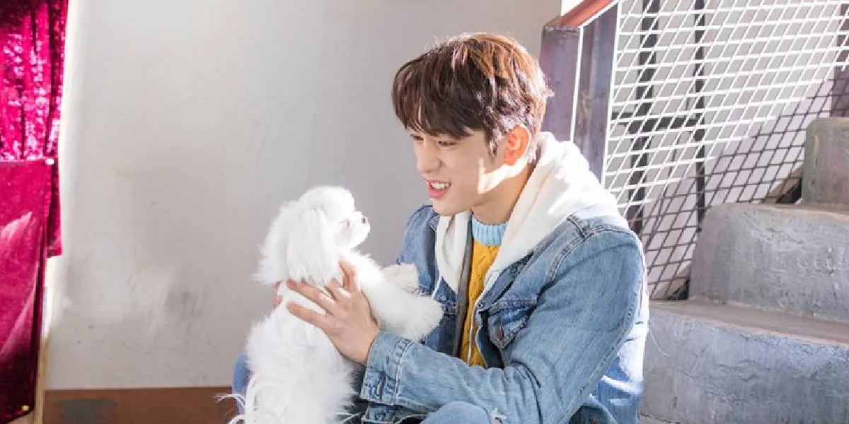 10 Best Korean Dramas about Pets, Animal Lovers Must Check This Out 