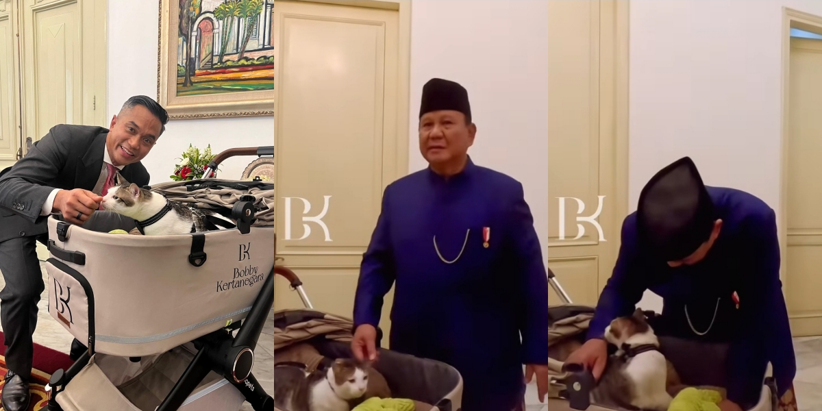 10 Portraits of Bobby Kertanegara, President Prabowo Subianto's Cat, at the Palace, in a Special Stroller - Has Its Own Room