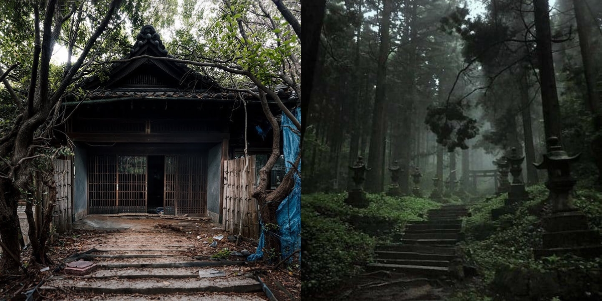 13 Most Haunted Places in Japan, From Suicide Forests to Former Murder Mansions