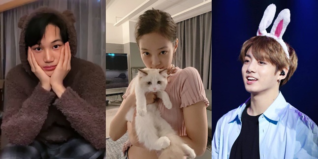 15 K-Pop Idols who are said to resemble cute animals: Jungkook BTS - Jennie BLACKPINK