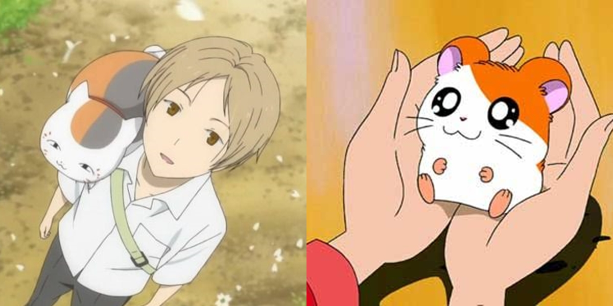 5 Recommendations for Anime with Pet Themes, Full of Adorable Friendship Moments