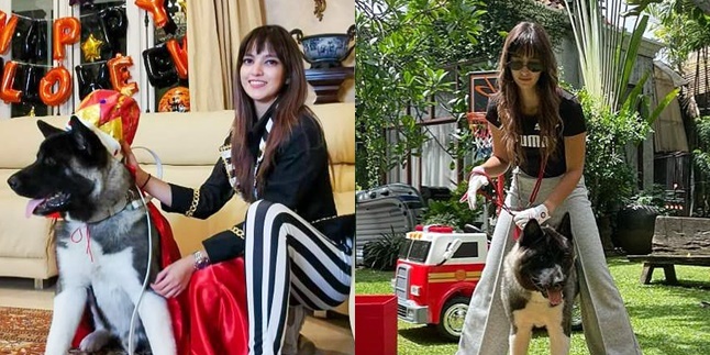 8 Portraits of Togetherness Nia Ramadhani and Maximus, the Beloved Dog