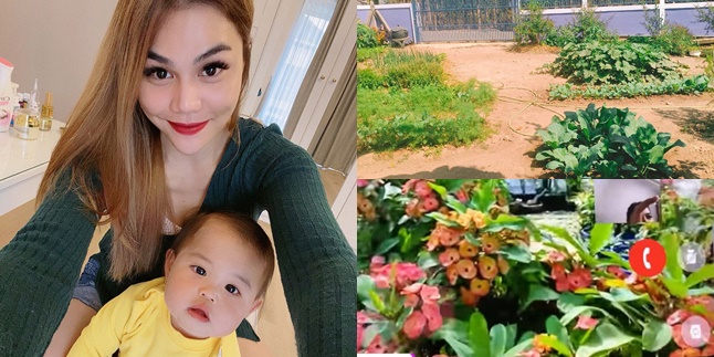 6 Photos of Katty Butterfly's House in Thailand, Spacious with Vegetable and Fruit Garden