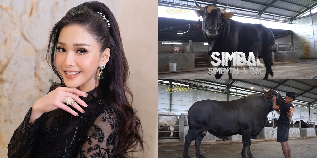 7 Portraits of Maia Estianty's Sacrificial Cattle, Choosing the Jumbo - Irfan Hakim as the Intermediary