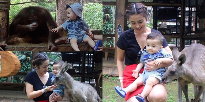 7 Portraits of Selvi Kitty Inviting Her Child to Taman Safari, Having Fun with Orangutans