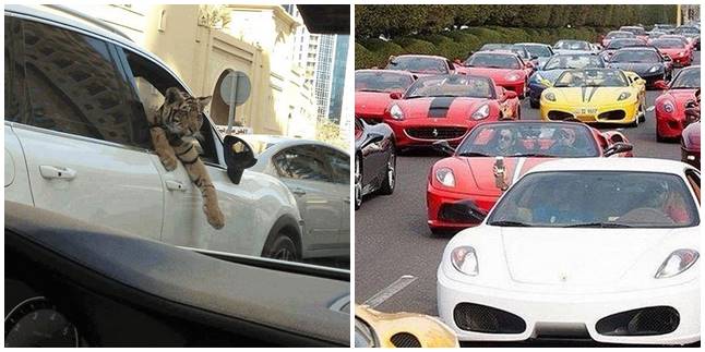 8 Things That Only Exist in Dubai, From Keeping Wild Animals to Expensive Cars!