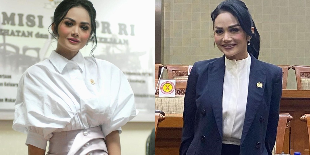 8 Portraits of Anggun Krisdayanti While Working at the Indonesian Parliament, Still Stylish in Formal Outfit - Harvesting Netizens' Praises