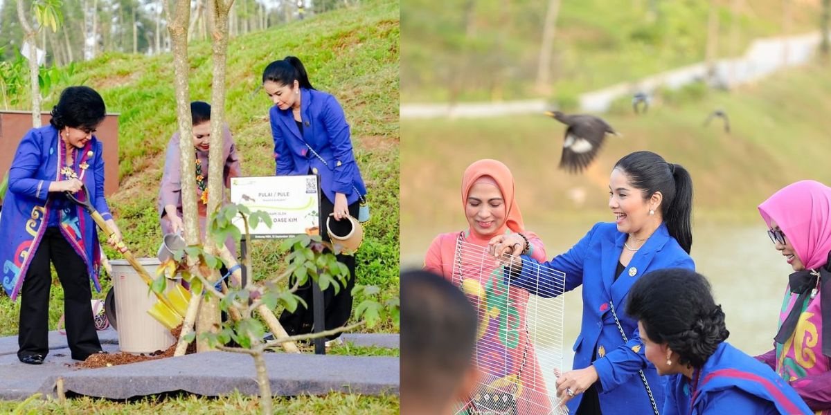 8 Photos of Annisa Yudhoyono's Work Visit to IKN, Planting Trees to Releasing Fish Seeds