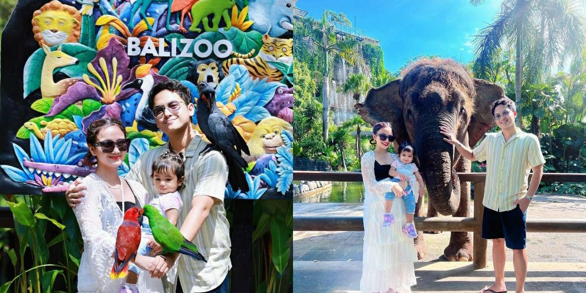 8 Portraits of Nadlyne, Nanda Arsyinta's Daughter, Having Fun at the Zoo for the First Time, Brave Enough to Feed an Elephant!