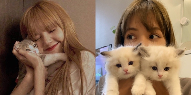 8 Photos of Lisa BLACKPINK with Pet Cats, So Sweet Giving Hugs & Kisses