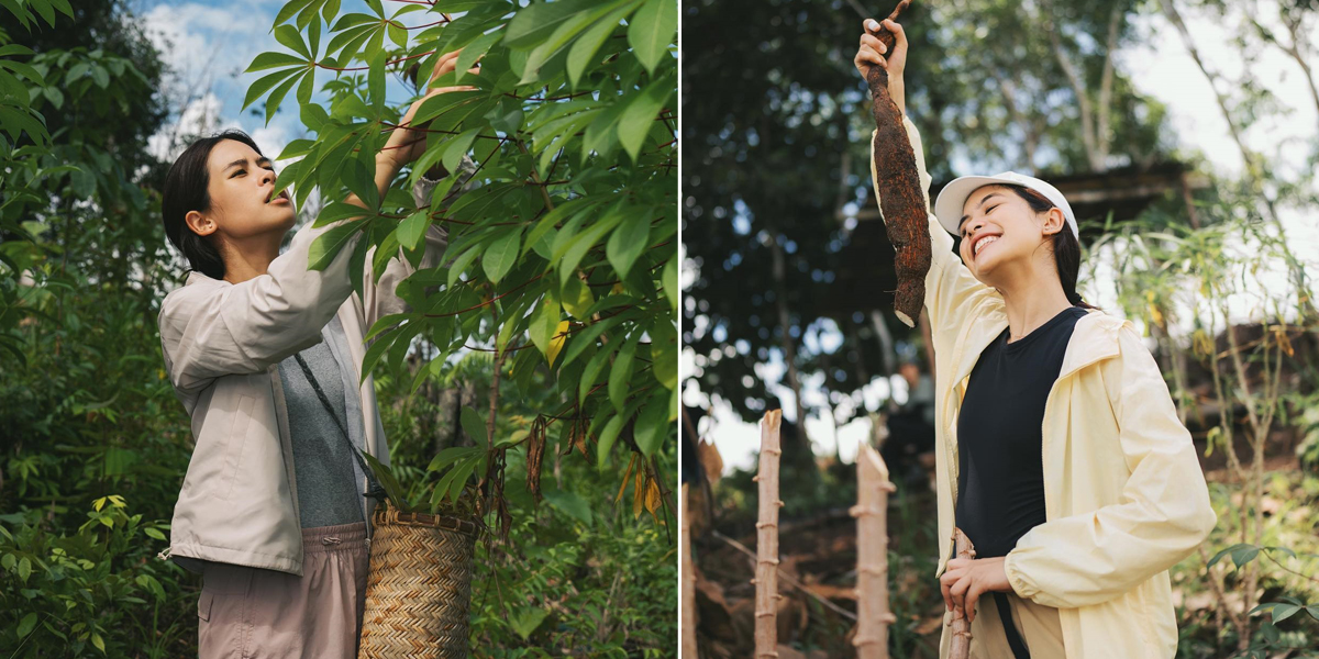 8 Portraits of Maudy Ayunda Harvesting Cassava - Wandering through the Leaves in the Kalimantan Forest