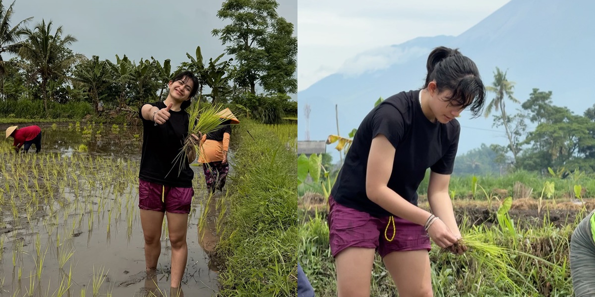 8 Portraits of Sintya Marisca Participating in Rice Planting, Initial Intention of Morning Run Ends Up in the Rice Field