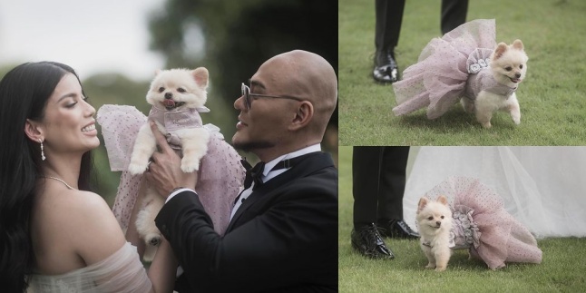 Happy Fur Child, Portrait of Sabrina Chairunnisa and Deddy Corbuzier's Beloved Dog Chanel at Their Wedding - Princess Dress Twins with Nada Tarina