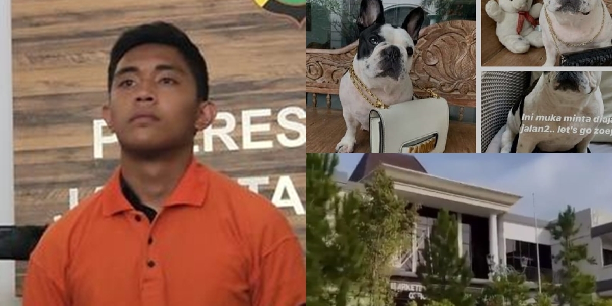 His Dog Has an Expensive Bag, 10 Rows of Valuable Assets Owned by Mario Dandy's Family 'Exposed' by Netizens - Said to Have Luxury Housing