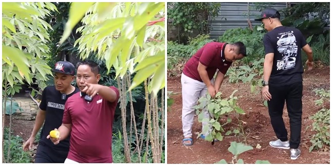 From Comedian to Farmer, Here are 15 Pictures of Narji's Spacious Vegetable Garden - Happy to Create Job Opportunities