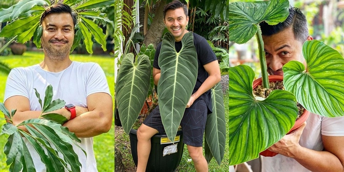 A Series of Photos of Anjasmara Posing with Beloved Green Plants, Getting Fresher at a Mature Age!