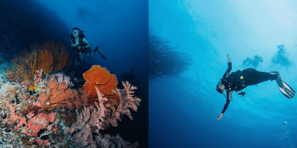 Called the Beautiful Mermaid, Check out 7 Latest Photos of Naysilla Mirdad while Diving - Enjoy the Coral Reefs and Show Off Her Sarangahe Hands in the Sea