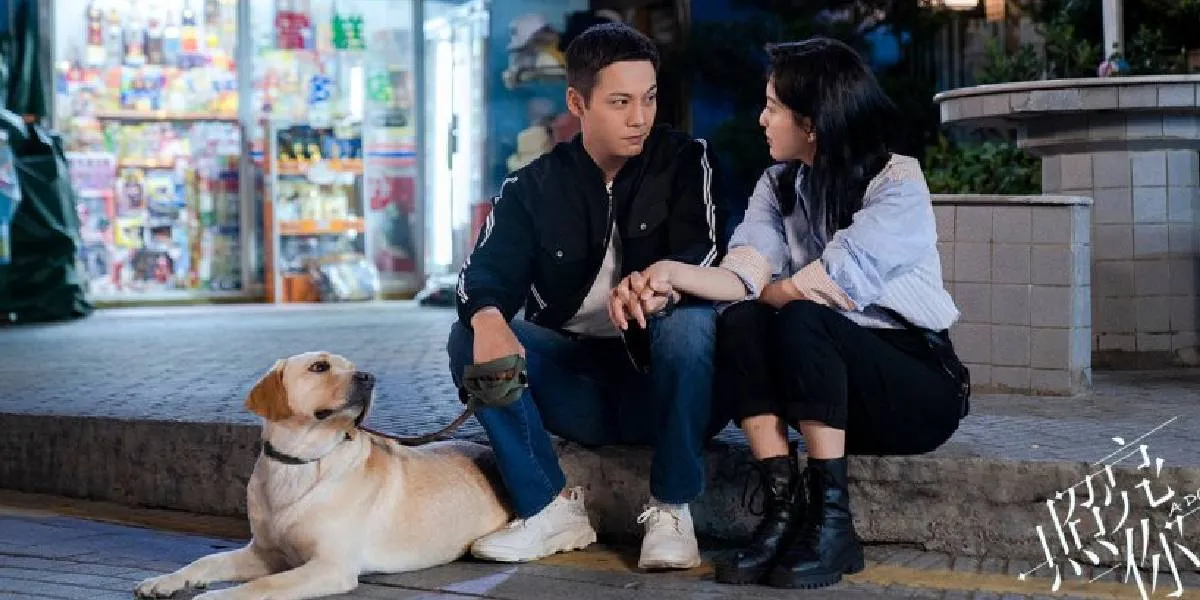 Chinese Drama About Pet Dog Loyalty, Animal Lovers Must Gather!