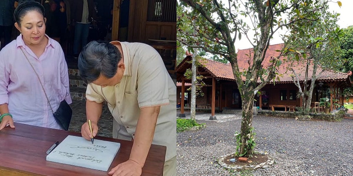 Photo of Titiek Soeharto's Warung in Bogor, Inauguration Celebration Attended by Prabowo - Rare Plants are Present