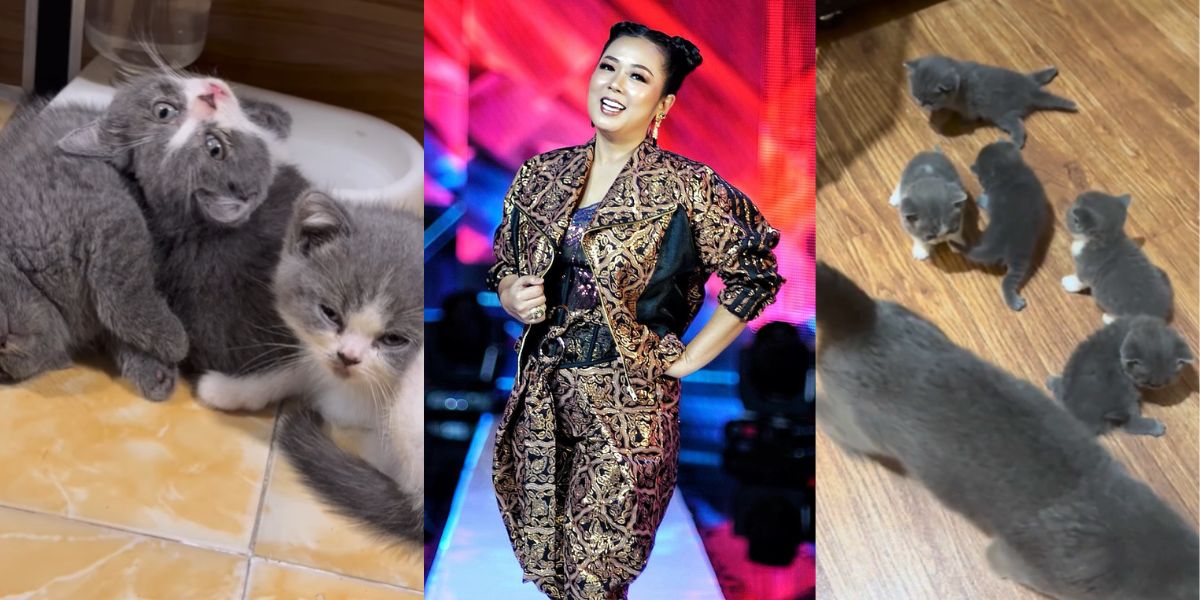 Hilarious! Soimah Shares Funny Moments of Her Cat While Waiting for Iftar