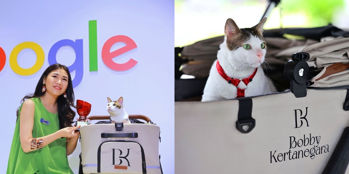 The Adorable Portrait of Bobby Kertanegara Invited by Google, Becomes a Cat with the Top Trending Google Search Throughout 2024