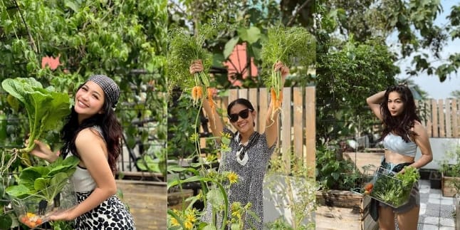 Having a Mini Garden, 8 Photos of Eriska Nakesya, Young Lex's Wife, Still Stylish While Harvesting Vegetables