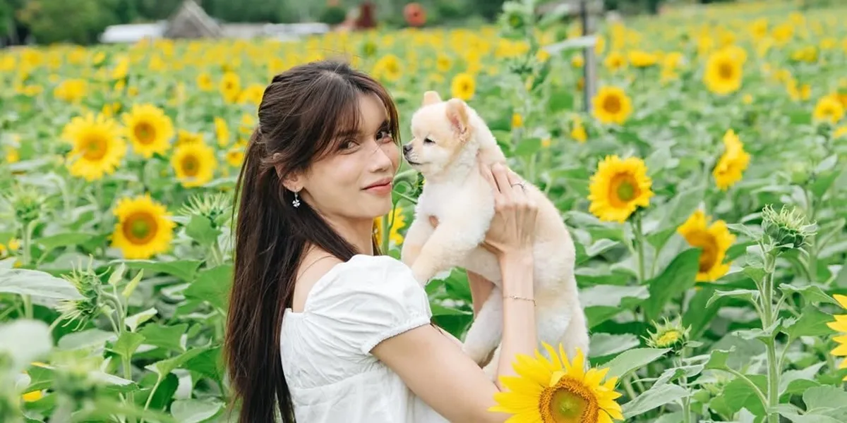 Sabrina Chairunnisa Responds to Netizen's Insinuation About Not Greeting Deddy Corbuzier, Afraid of Offending