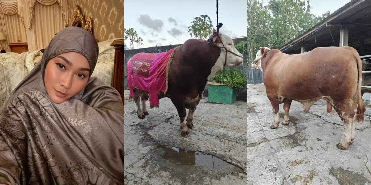 Welcoming Idul Adha 2025, Inul Daratista Prepares Five 'Semok' Sacrificial Cows - Will Slaughter Them Herself at Home