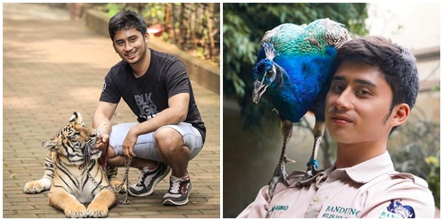 A Series of Pictures of Alshad Ahmad with His Unusual Pets, Including Tigers!