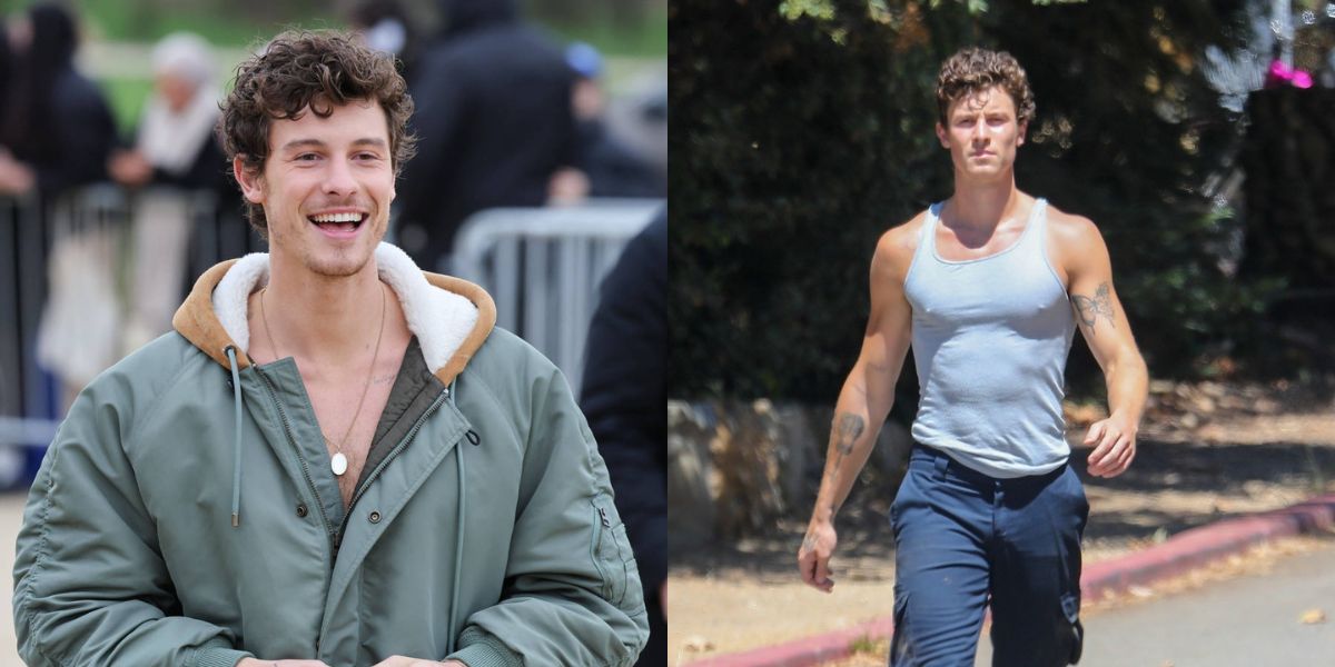 8 Portraits of Shawn Mendes Announcing Return to Stage After Canceling ...