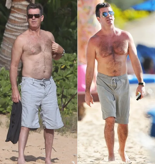 Pierce Brosnan - Simon Cowell @ dailymail.co.uk