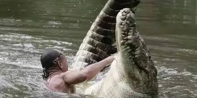 Mereka sudah selayaknya sahabat dan keluarga. © Animals Australia