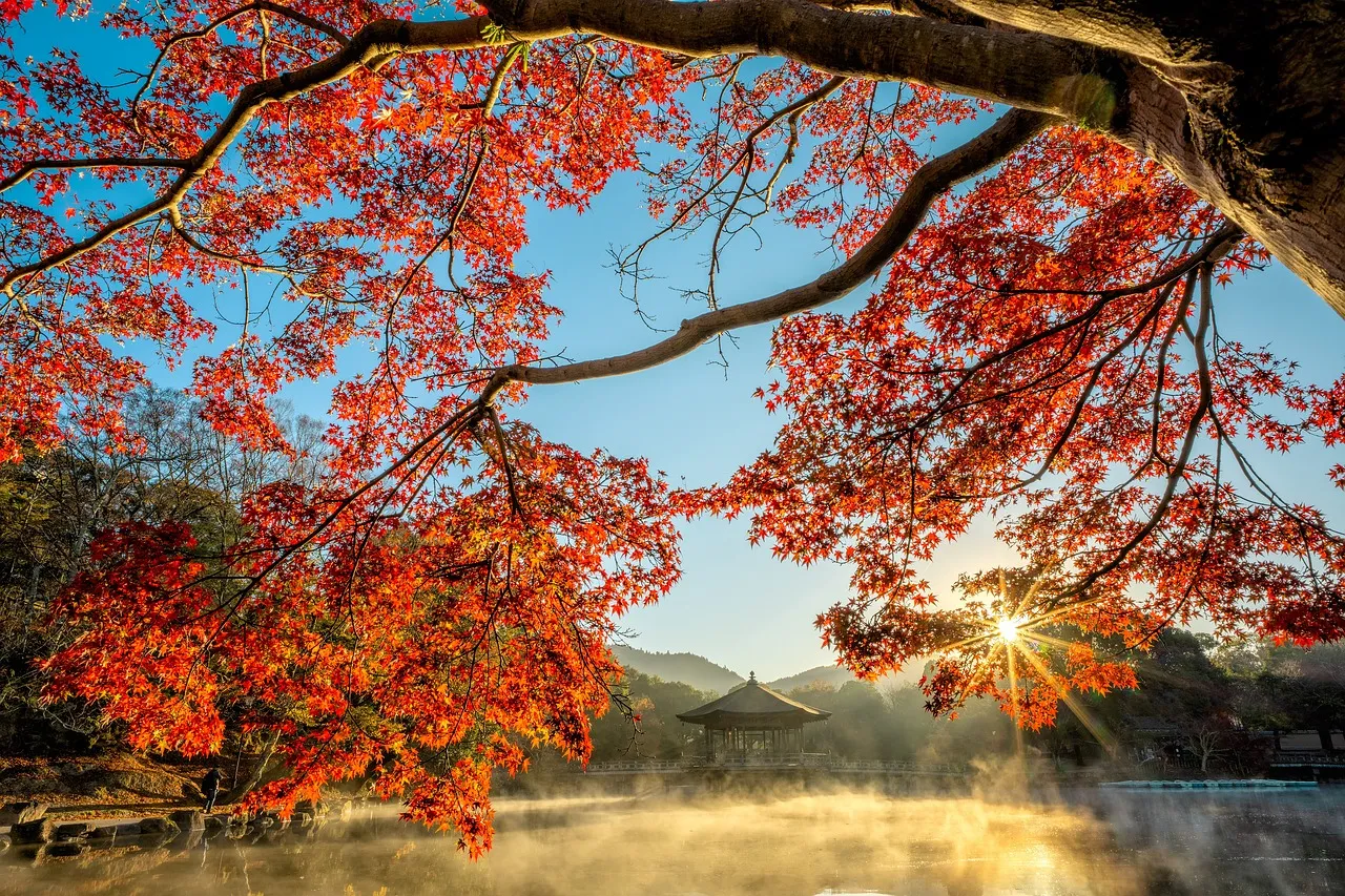 Ilustrasi (credit: pixabay.com)