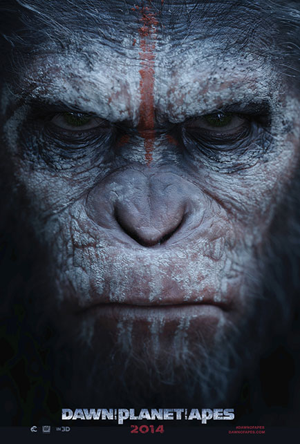 Caesar © dawnofapes.com