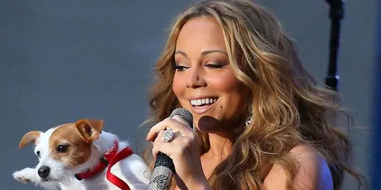 splashnewsonline.com