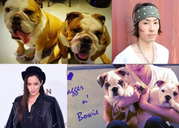 Vanness Wu dan Arissa Cheo sama-sama memposting foto anjing kesayangan di rumah mereka. ©lollipop.sg