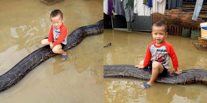 Tak disangka, ular sepanjang 7 meter tersebut merupakan peliharaan salah seorang keluarga di Vietnam © Viral Press