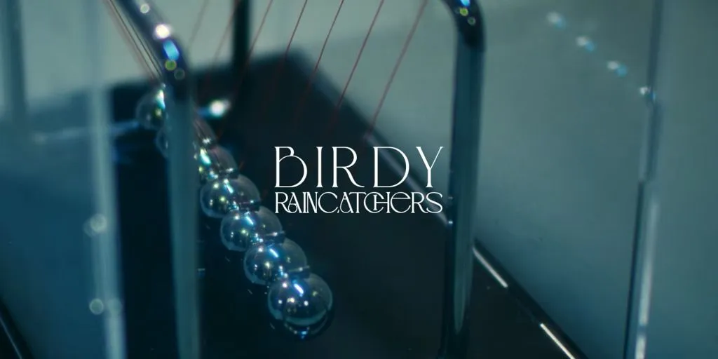 Birdy - Raincatchers
