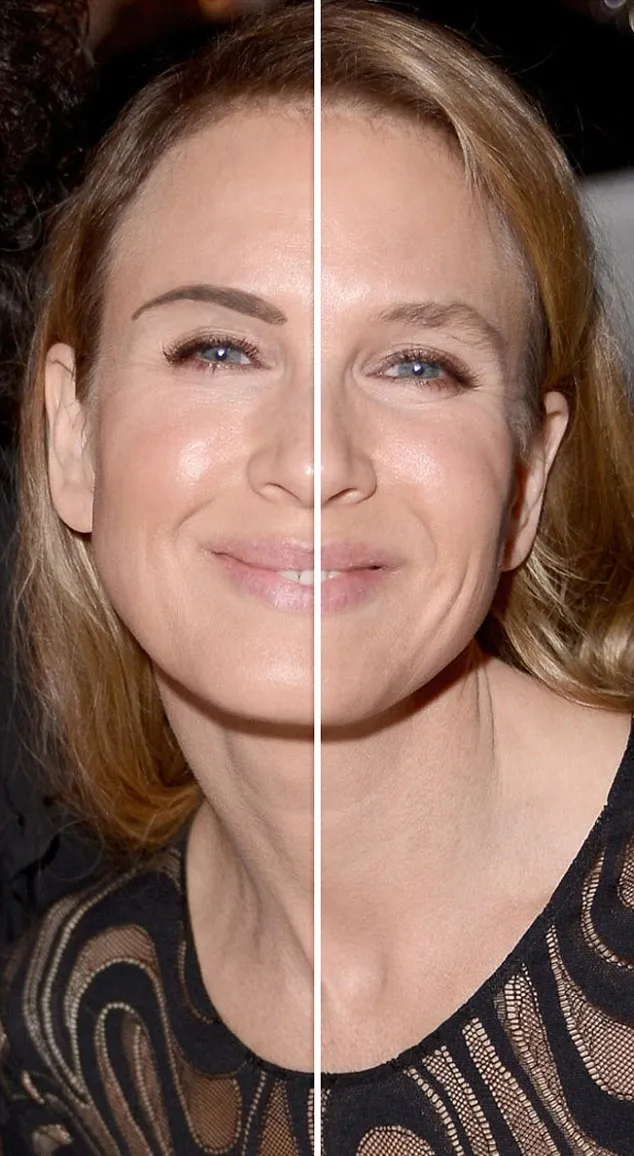 Renee Zellweger @ dailymail.co.uk