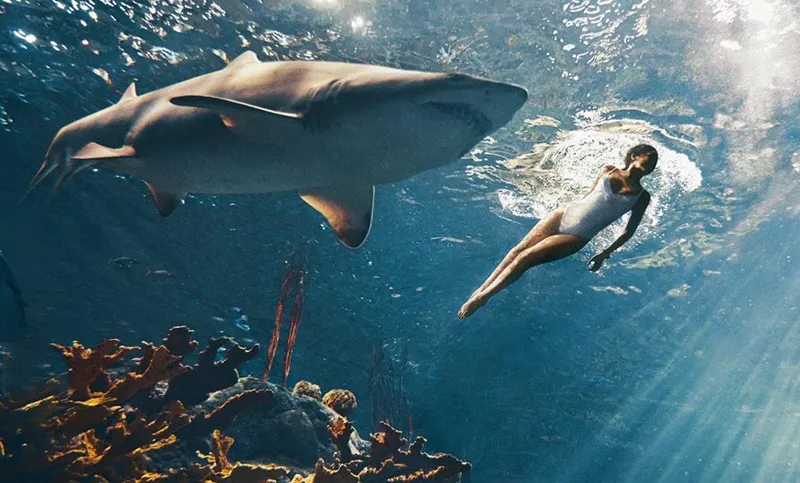 Rihanna berpose dengan hiu © Harper's Bazaar