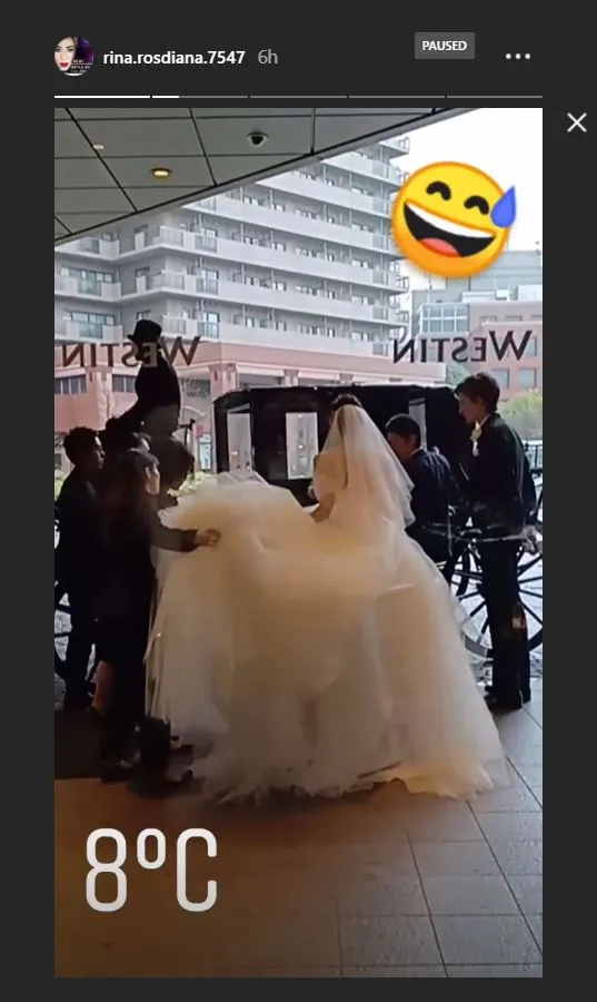 Pengantin Berkereta Kuda